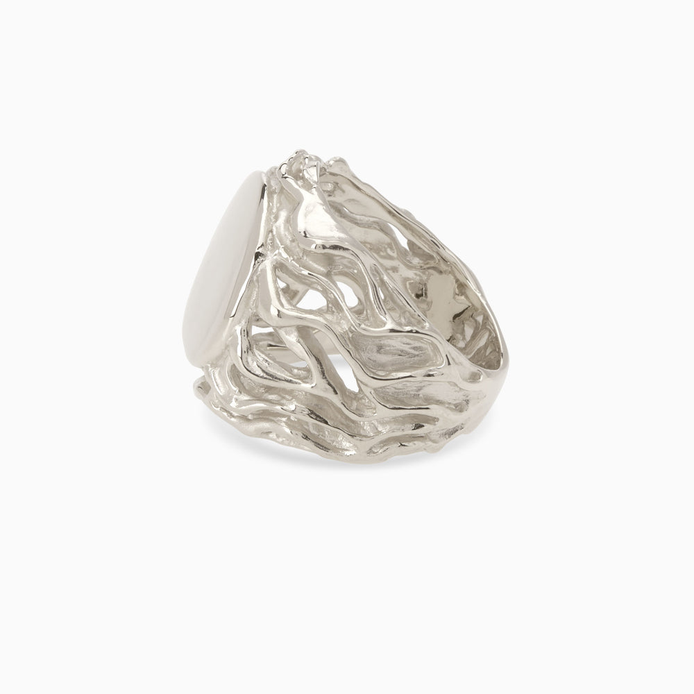 Ivy Signet Ring | Silver