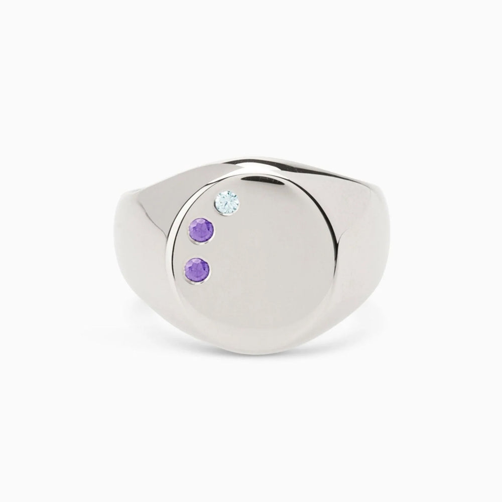 Signet Stone Ring | Silver