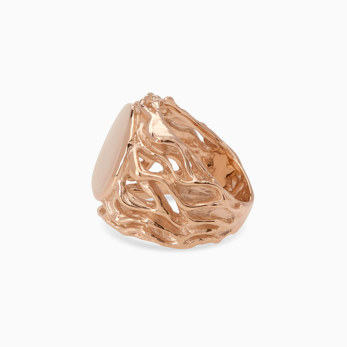 Ivy Signet Ring | Rose Gold