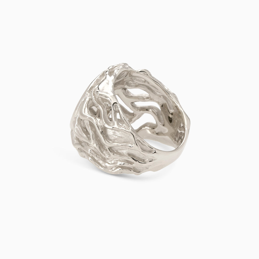 Ivy Signet Ring | Silver