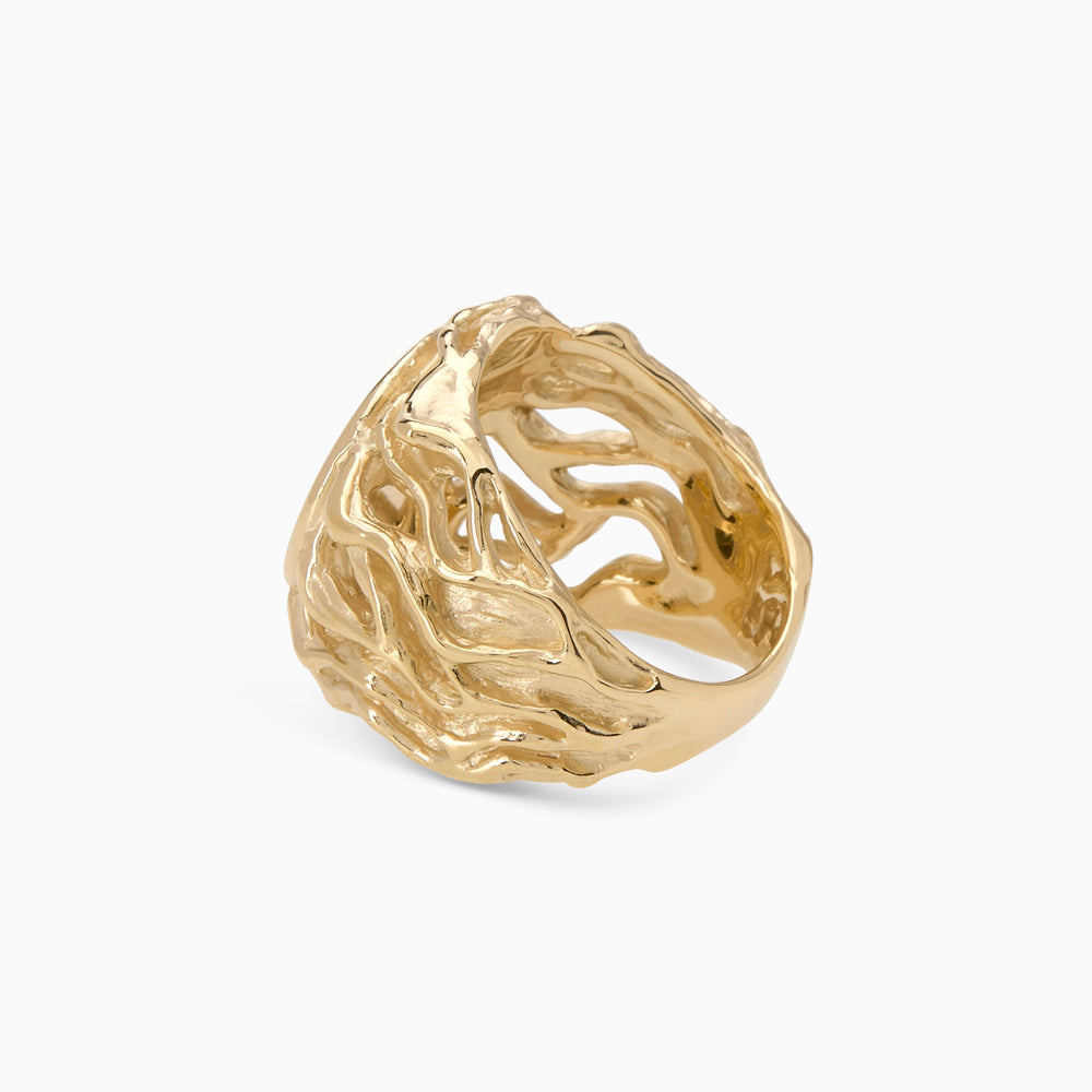 Engraved Ivy Signet Ring | Yellow Gold