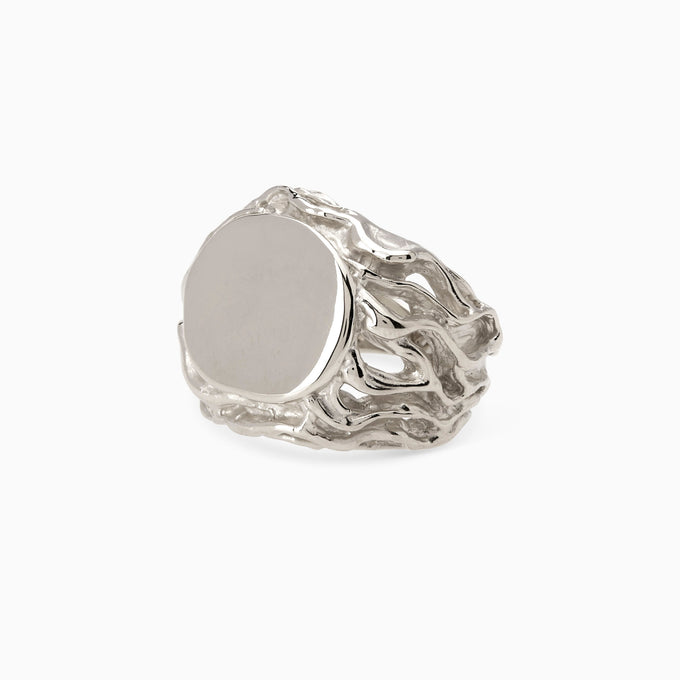 Engraved Ivy Signet Ring | White Gold