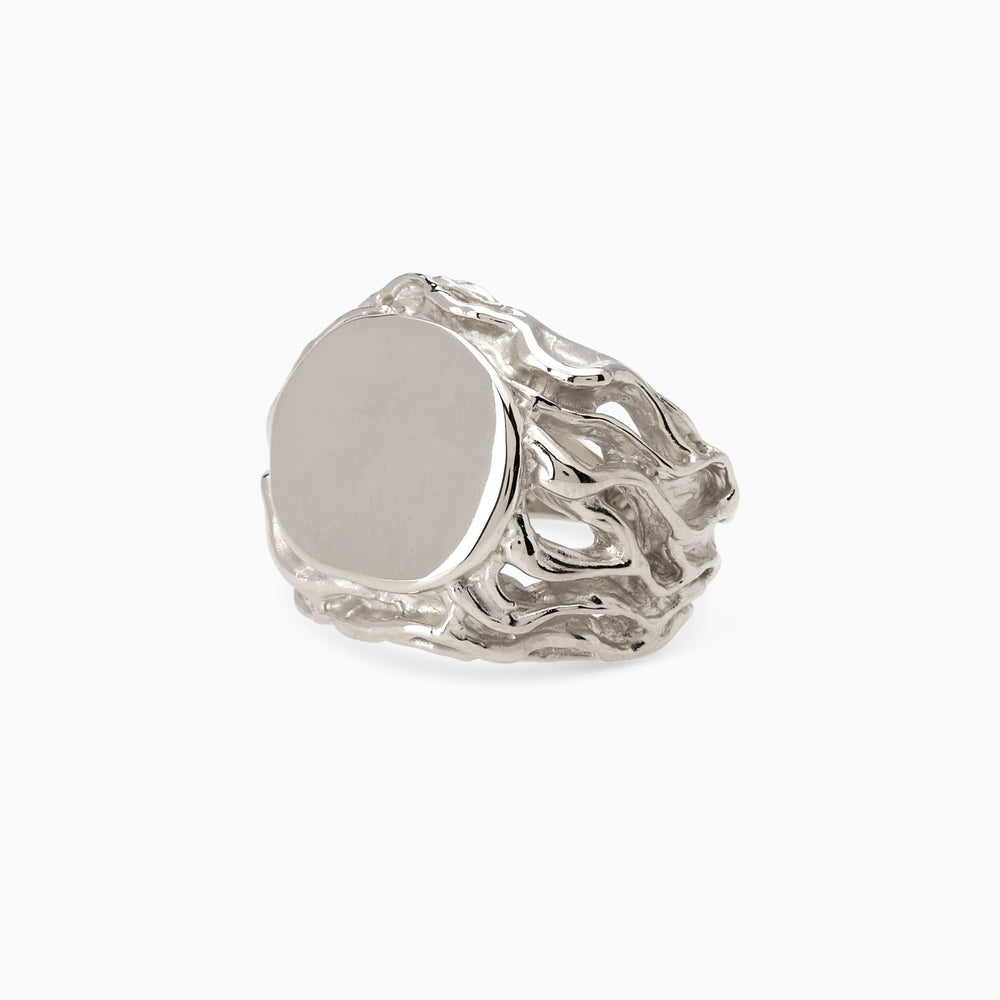 Ivy Signet Ring | White Gold