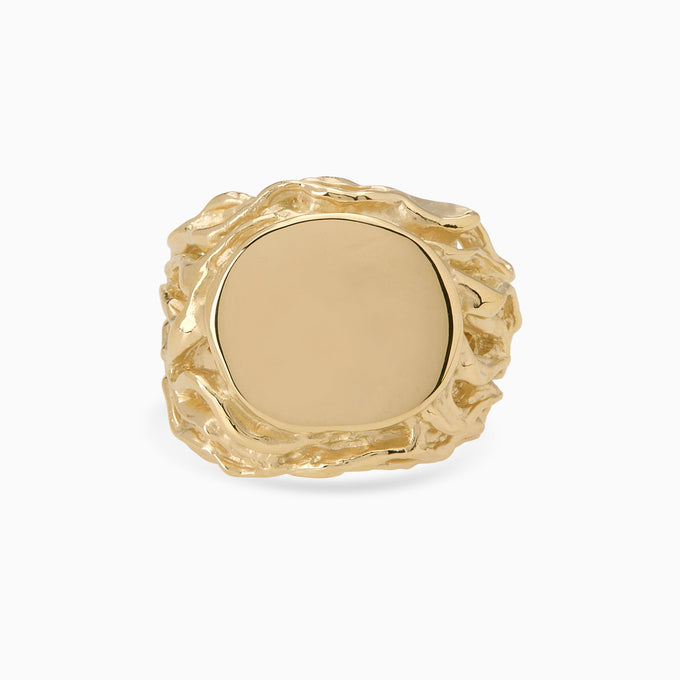 Ivy Signet Ring | Yellow Gold