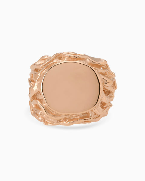 Ivy Signet Ring | Rose Gold