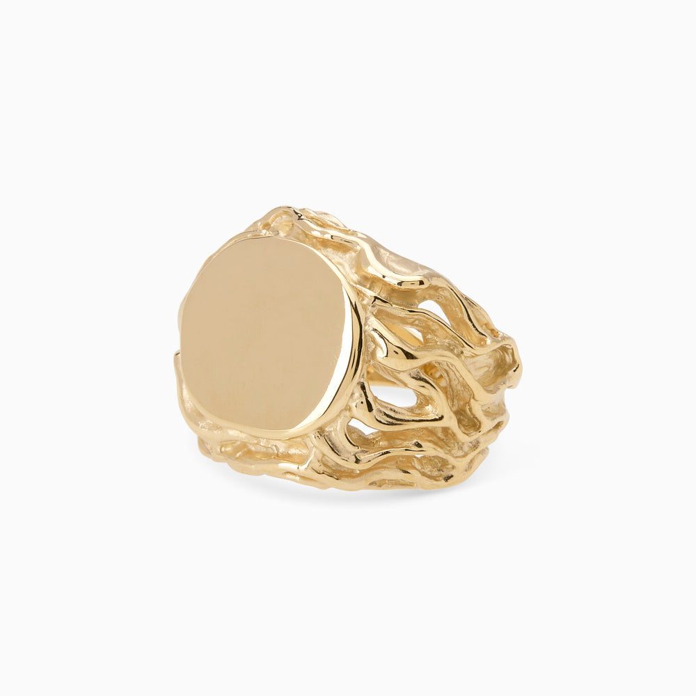 Engraved Ivy Signet Ring | Yellow Gold