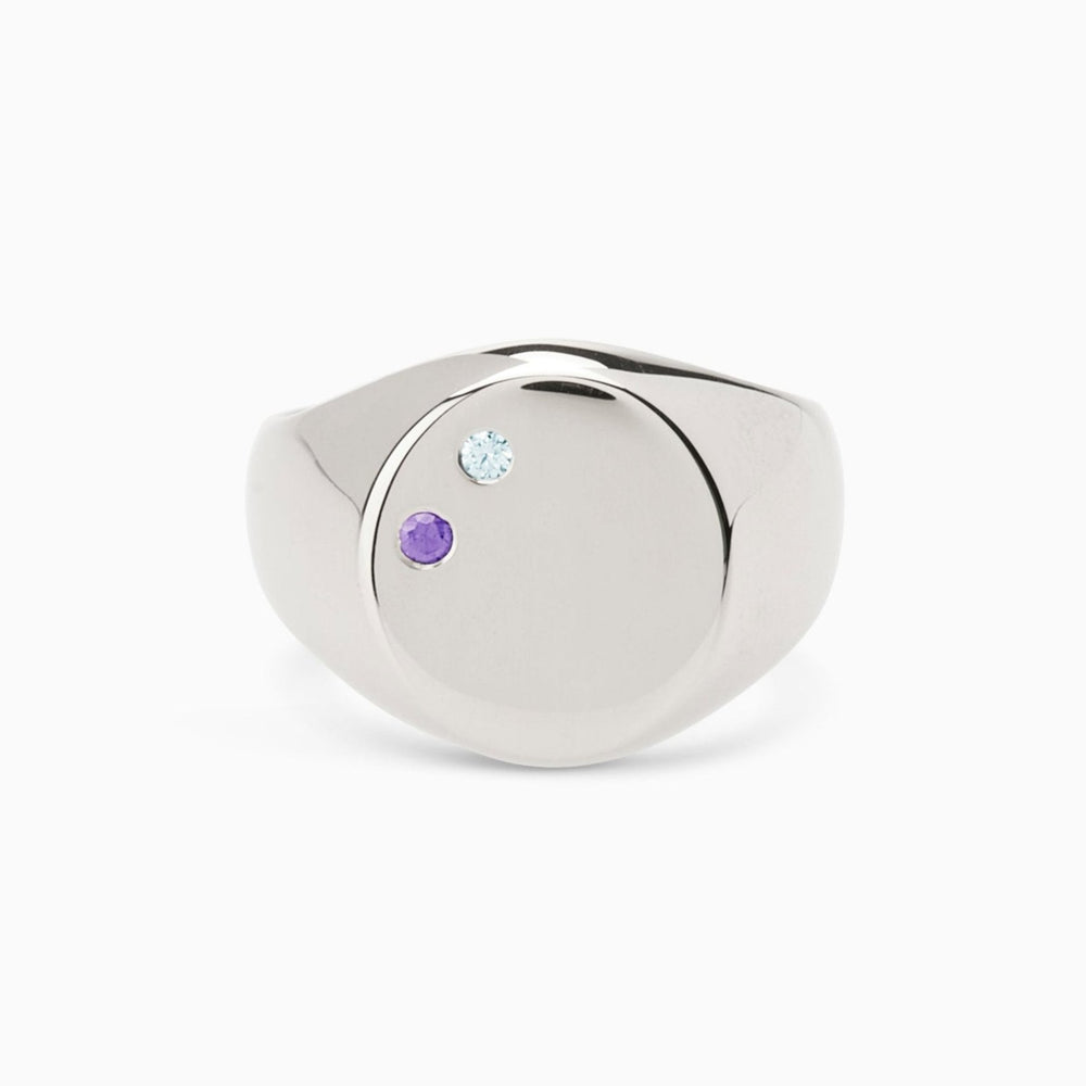 Signet Stone Ring | Silver