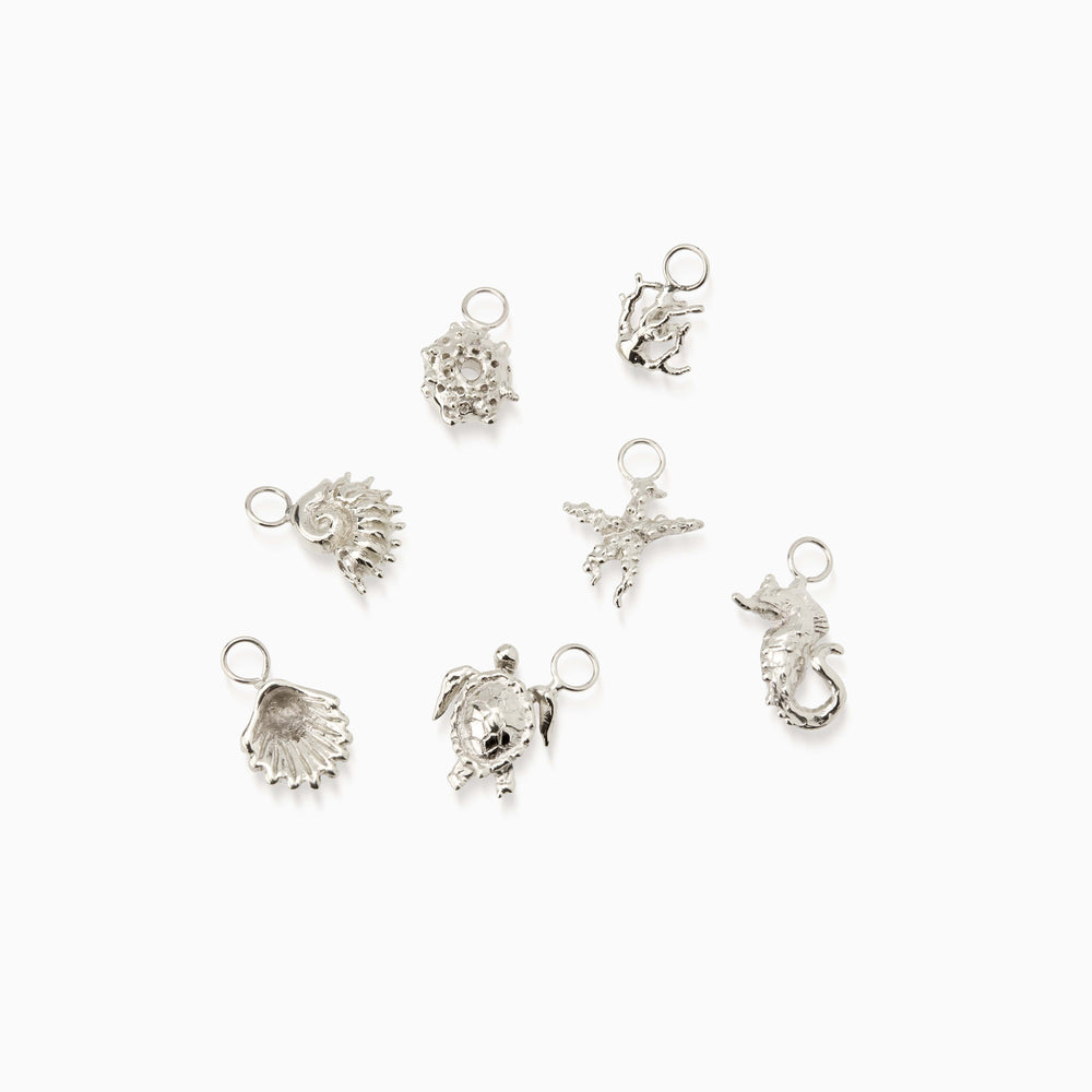 Atlantic Shell Earring | Silver